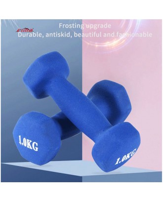 Wholesale Fitness Bodybuilding Cheap Rubber Coating Wrapped Small Hexagon Dumbbell Set Dumbbell 10Kg Small Dumbbells